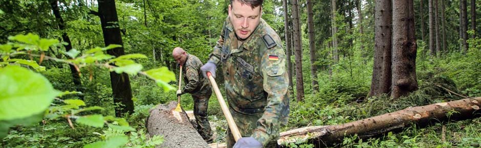 Borkenkäfer: Soldaten helfen in Sachsen und Rheinland-Pfalz
