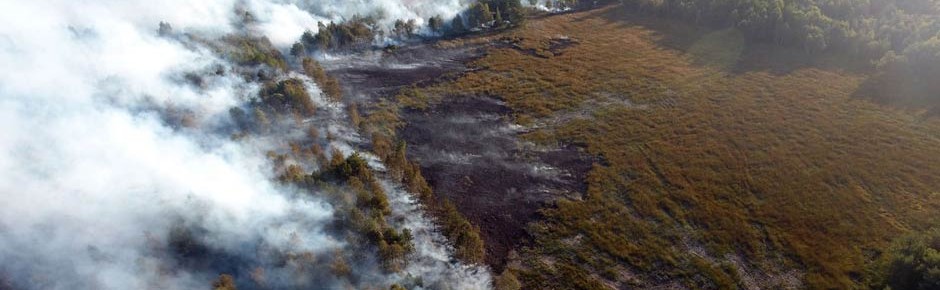 Moorbrand im Emsland: Staatsanwaltschaft klagt an